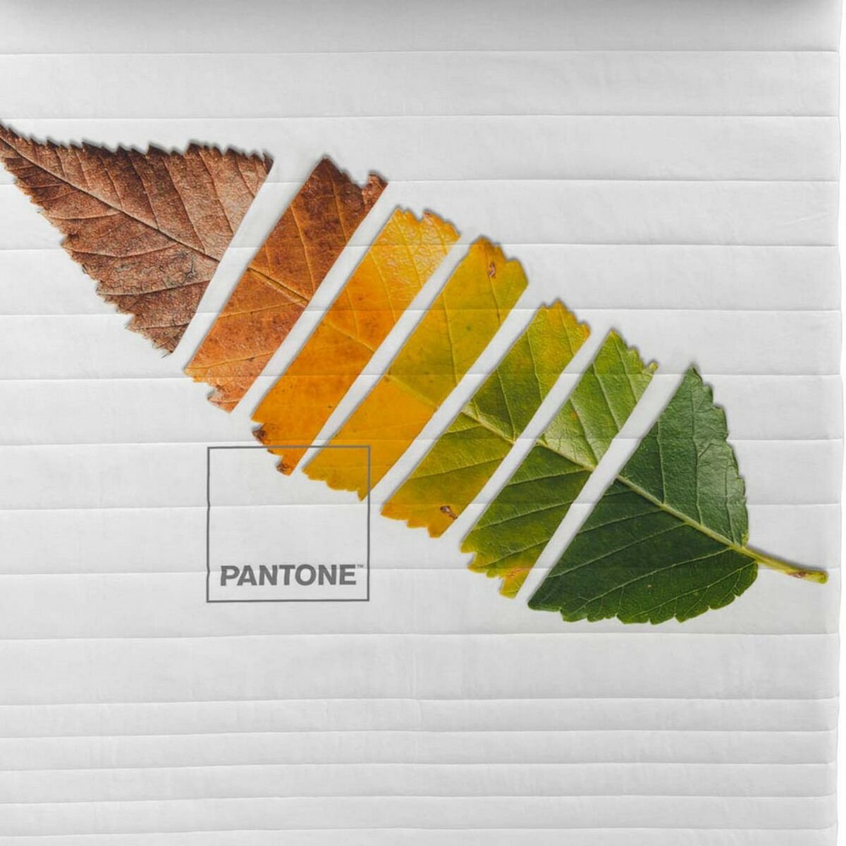 Cuvertură (de pat) Leaf Pantone - www.goemag.com